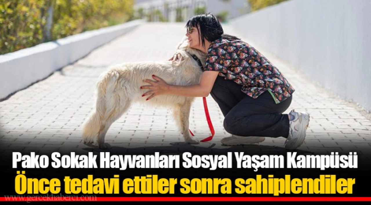 Pako Sokak Hayvanları Sosyal Yaşam Kampüsü