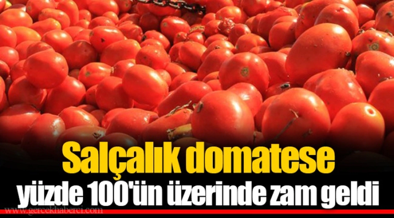 Salçalık domatese yüzde 100'ün üzerinde zam geldi
