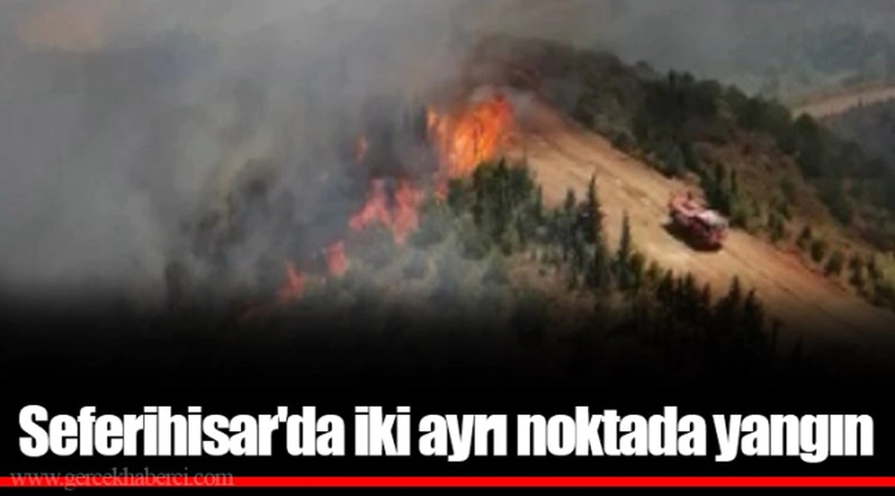 Seferihisar'da iki ayrı noktada yangın