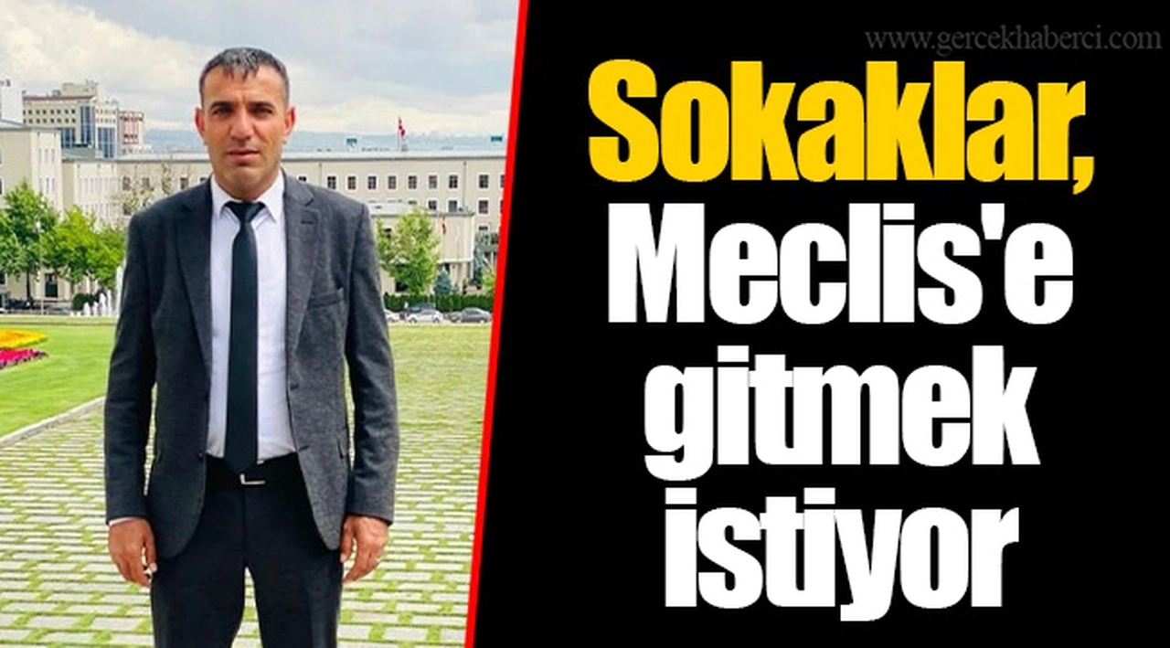 Sokaklar, Meclis'e gitmek istiyor