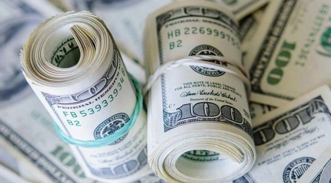 Yurt içi yerleşiklerin döviz mevduatları 1,59 milyar dolar düştü