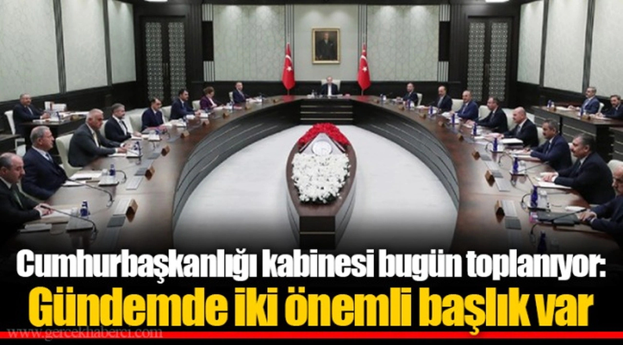 Cumhurbaşkanlığı kabinesi bugün toplanıyor: Gündemde iki önemli başlık var