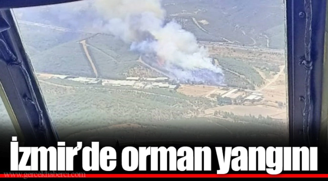 İzmir'de orman yangını