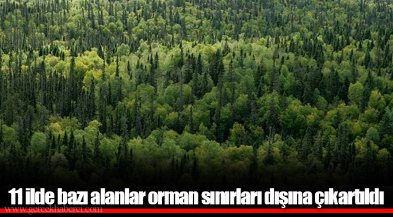 11 ilde bazı alanlar orman sınırları dışına çıkartıldı