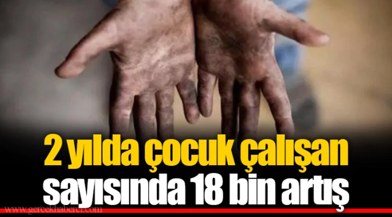 2 yılda çocuk çalışan sayısında 18 bin artış