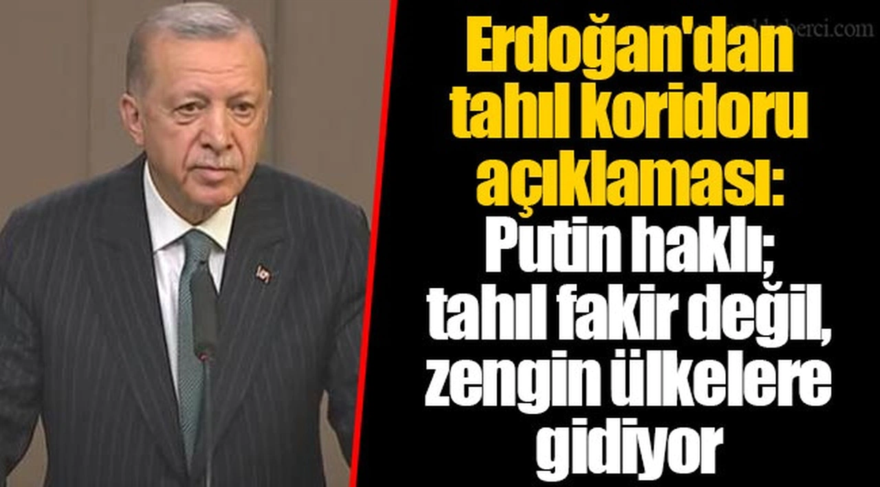Erdoğan'dan tahıl koridoru açıklaması: Putin haklı; tahıl fakir değil, zengin ülkelere gidiyor