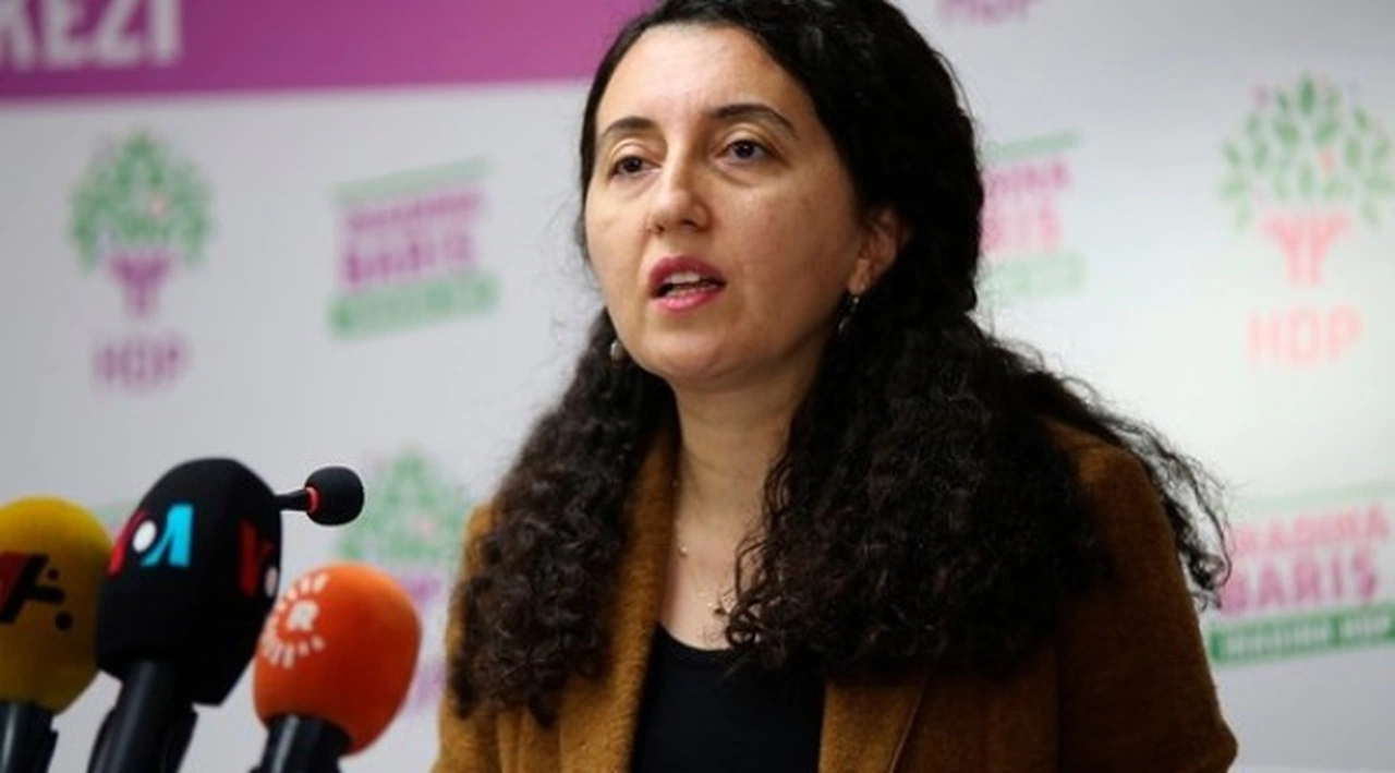 HDP'den İYİ Partili Meral Akşener'e sert tepki! Onunla çay bile içmeyiz