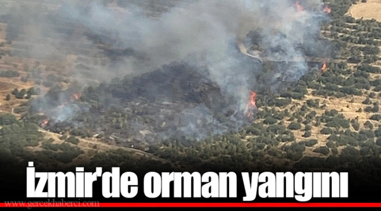 İzmir'de orman yangını