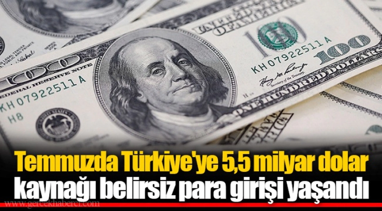 Temmuzda Türkiye'ye 5,5 milyar dolar kaynağı belirsiz para girişi yaşandı