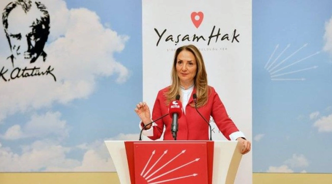 CHP Kadın Kolları Genel Başkanı Nazlıaka: Son 9 ayda 176’sı şüpheli, 422 kız kardeşimiz katledildi