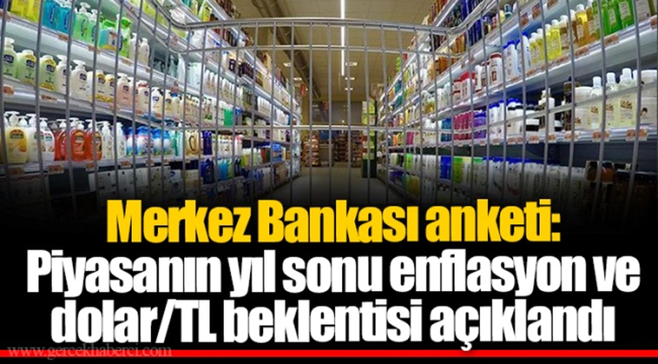 Merkez Bankası anketi: Piyasanın yıl sonu enflasyon ve dolar/TL beklentisi açıklandı