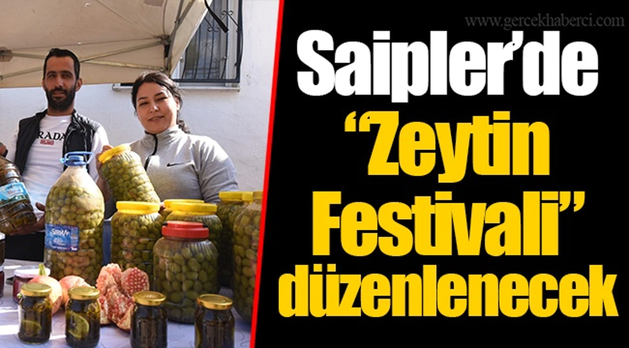 Saipler’de “Zeytin Festivali” düzenlenecek