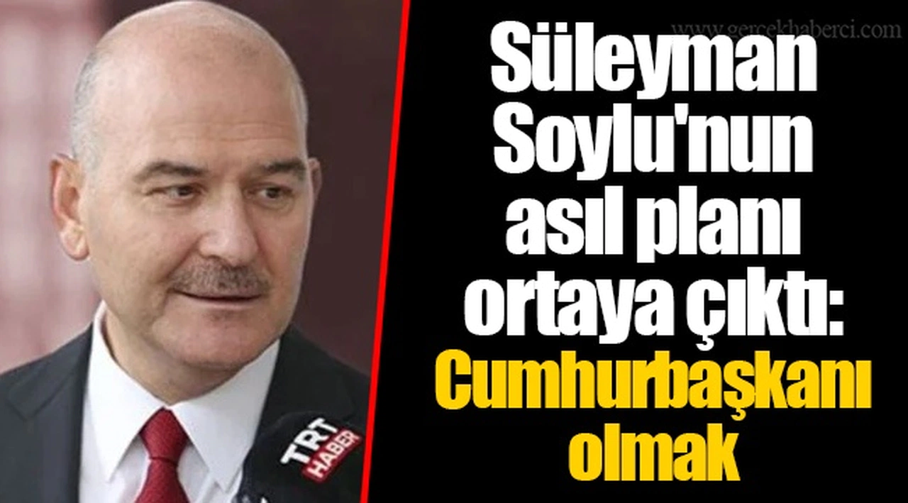 Süleyman Soylu'nun asıl planı ortaya çıktı: Cumhurbaşkanı olmak