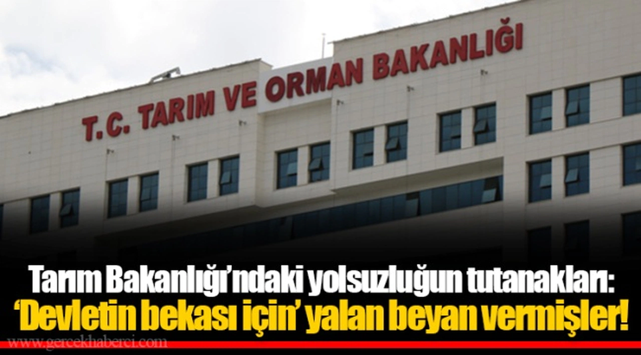 Tarım Bakanlığı’ndaki yolsuzluğun tutanakları: ‘Devletin bekası için’ yalan beyan vermişler!