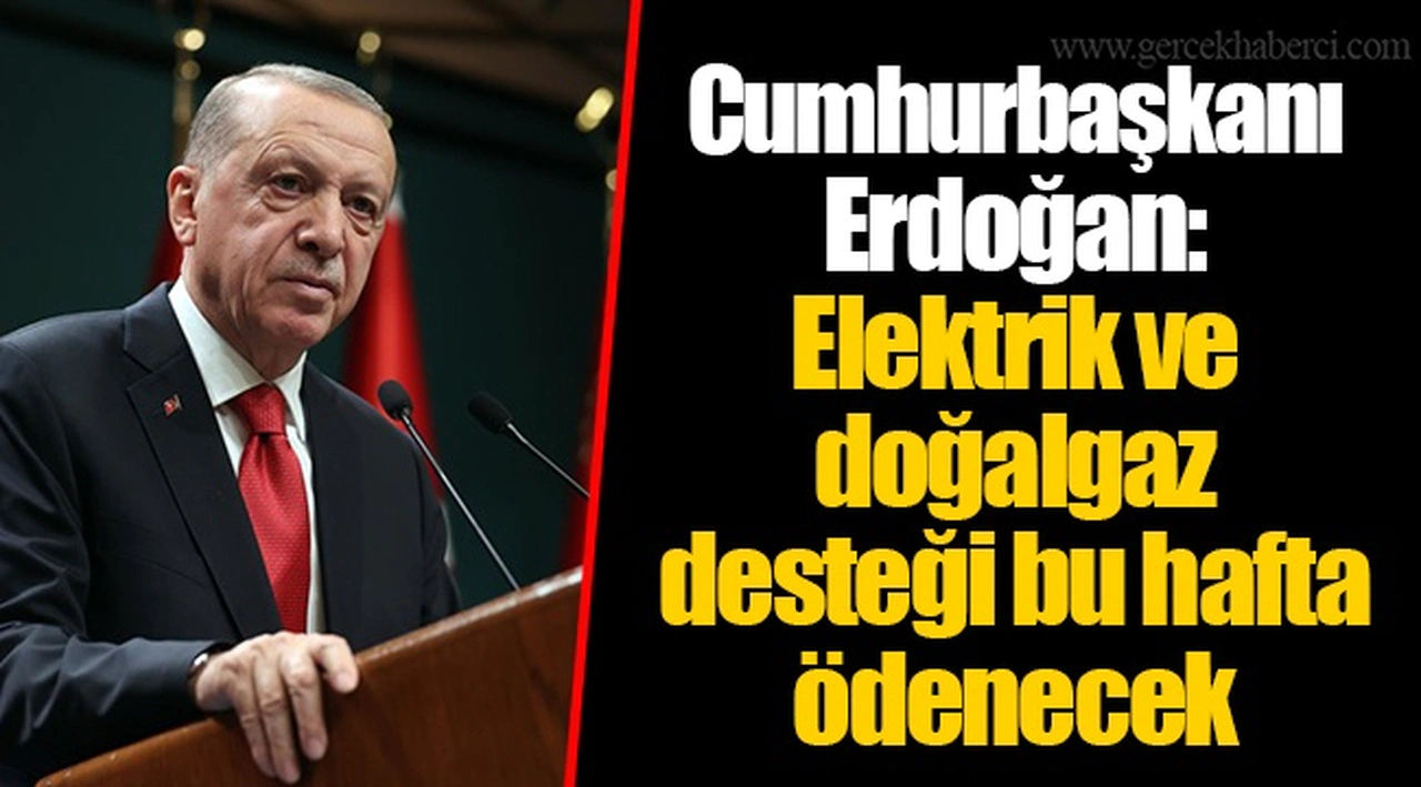 Cumhurbaşkanı Erdoğan: Elektrik ve doğalgaz desteği bu hafta ödenecek