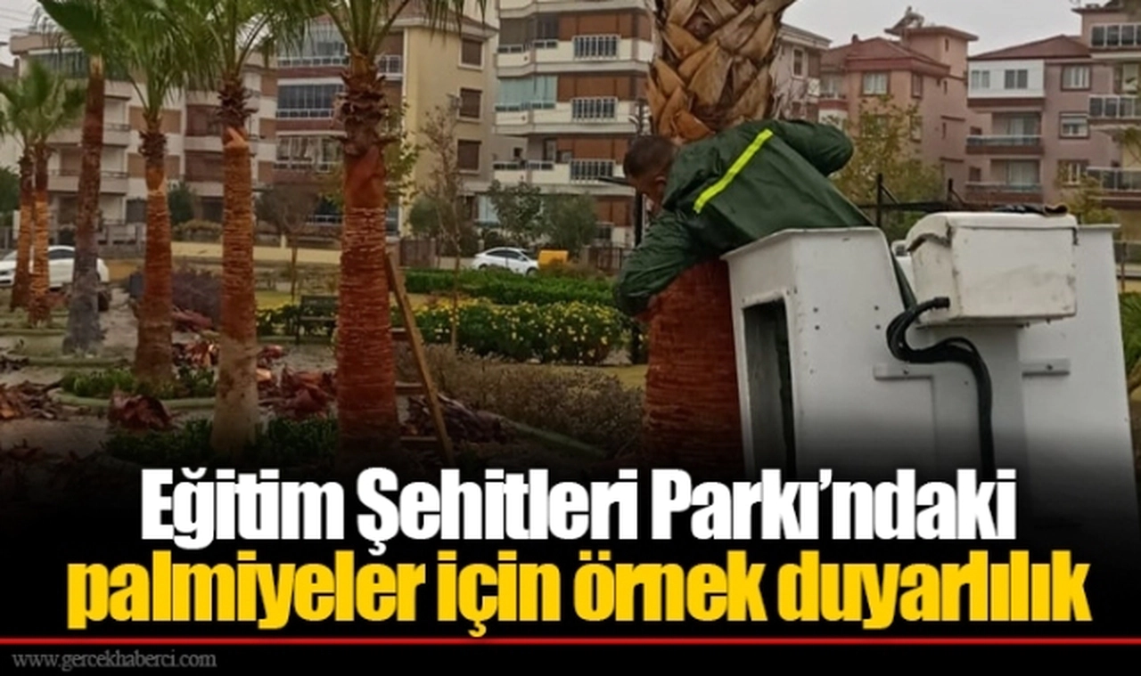 Eğitim Şehitleri Parkı’ndaki palmiyeler için örnek duyarlılık 