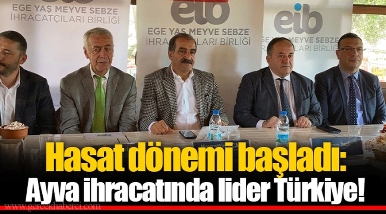 Hasat dönemi başladı: Ayva ihracatında lider Türkiye!