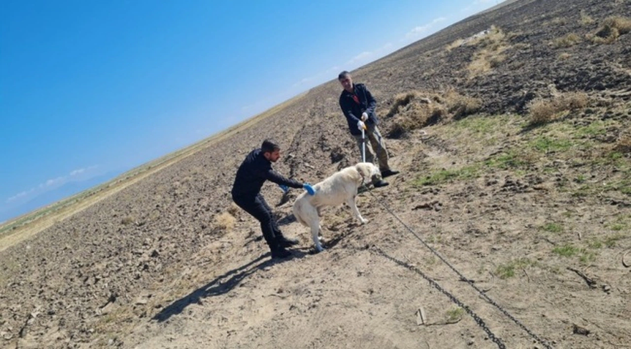 Kuduz tedavisi gören çocuk hayatını kaybetti