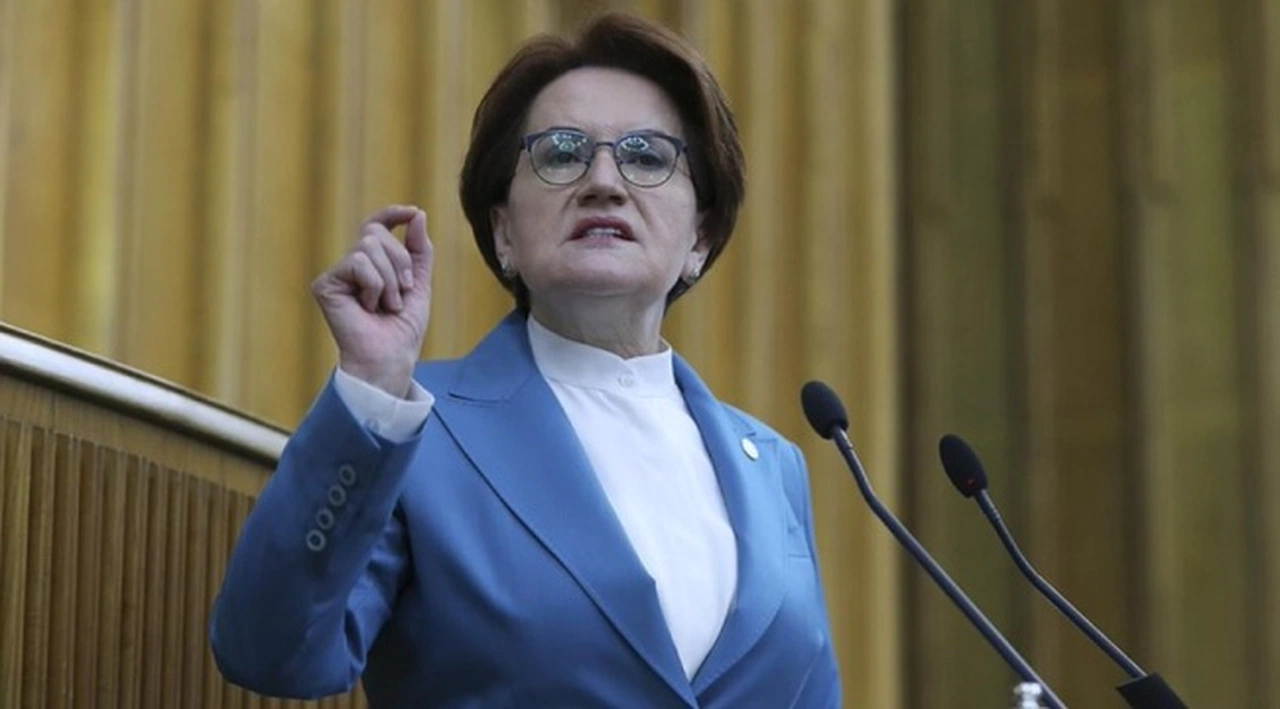 Meral Akşener, Cumhurbaşkanı Erdoğan'a seslendi: Sirk yönetmiyorsunuz, devlet yönetiyorsunuz, devlet