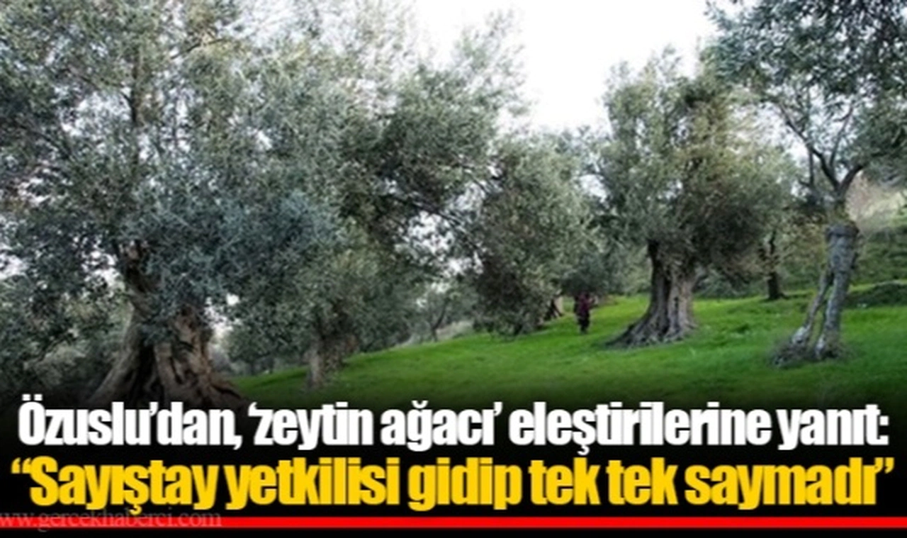 Özuslu'dan, 'zeytin ağacı' eleştirilerine yanıt: "Sayıştay yetkilisi gidip tek tek saymadı"
