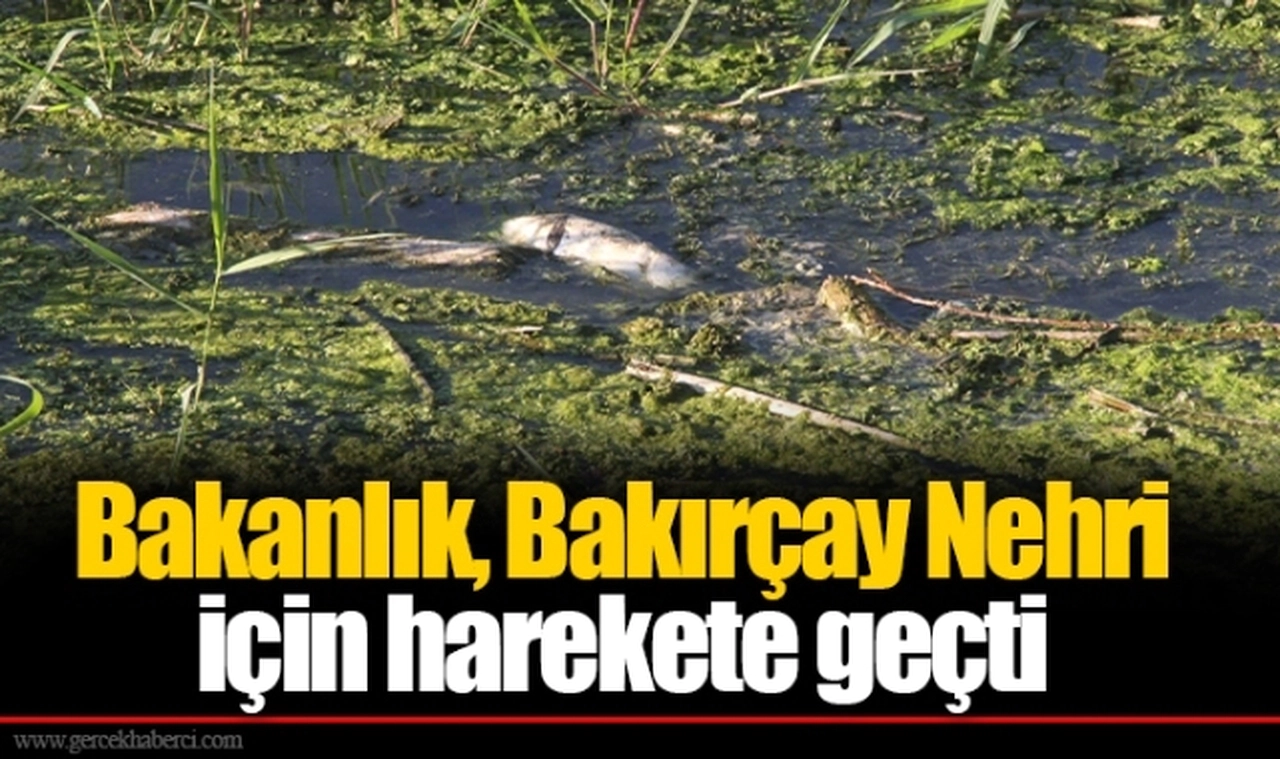 Bakanlık, Bakırçay Nehri için harekete geçti
