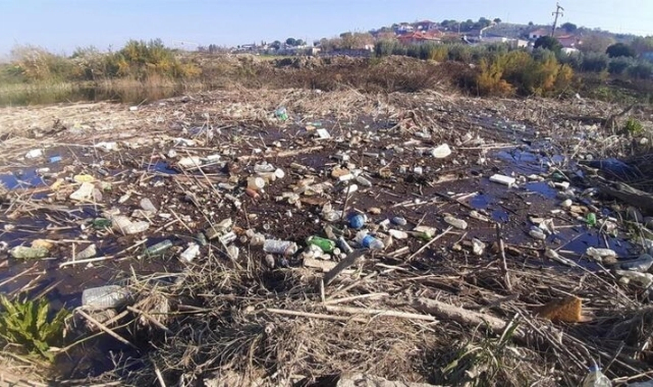 Büyük Menderes Nehri çöplüğe döndü
