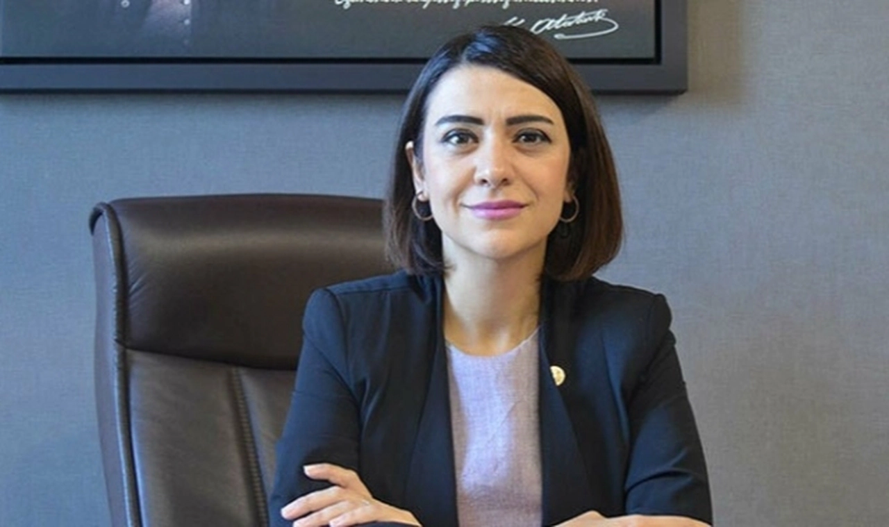CHP'li Taşçıer'den MHP'li Kayaalp'in beraatına tepki: İstismar ve tecavüzü olağan hale getirmeye çabalıyorlar