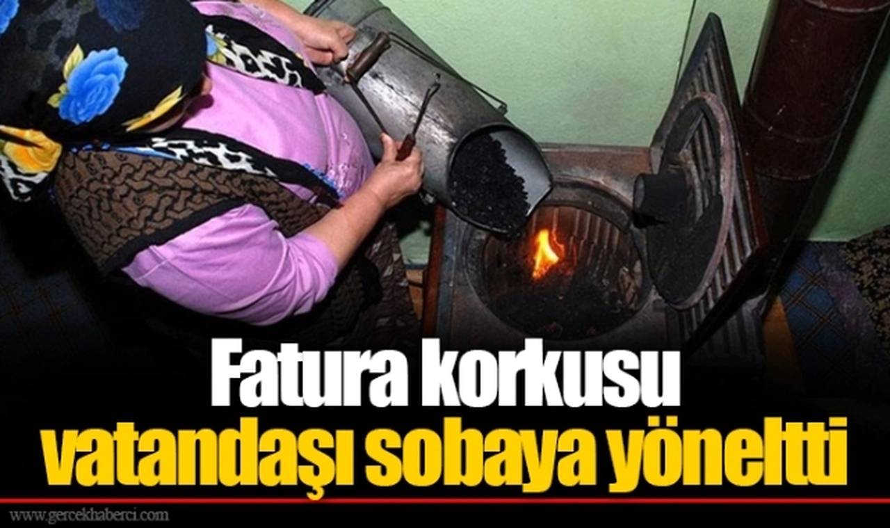 Fatura korkusu vatandaşı sobaya yöneltti