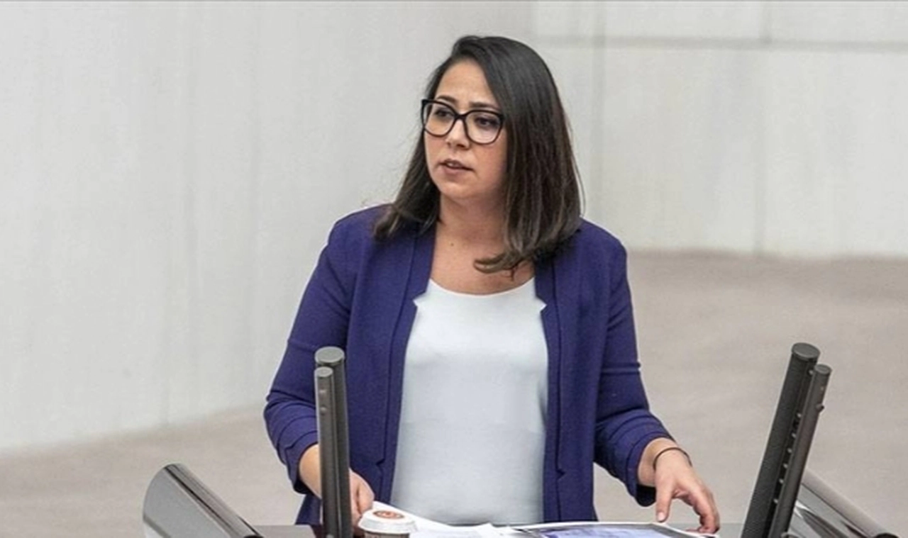TİP Sözcüsü Kadıgil: Tüm siyasetçileri yasaklasanız bile bu halk gerekirse ıslak banyo terliğini karşınızda aday gösterecek, yine de sizi yenecek!