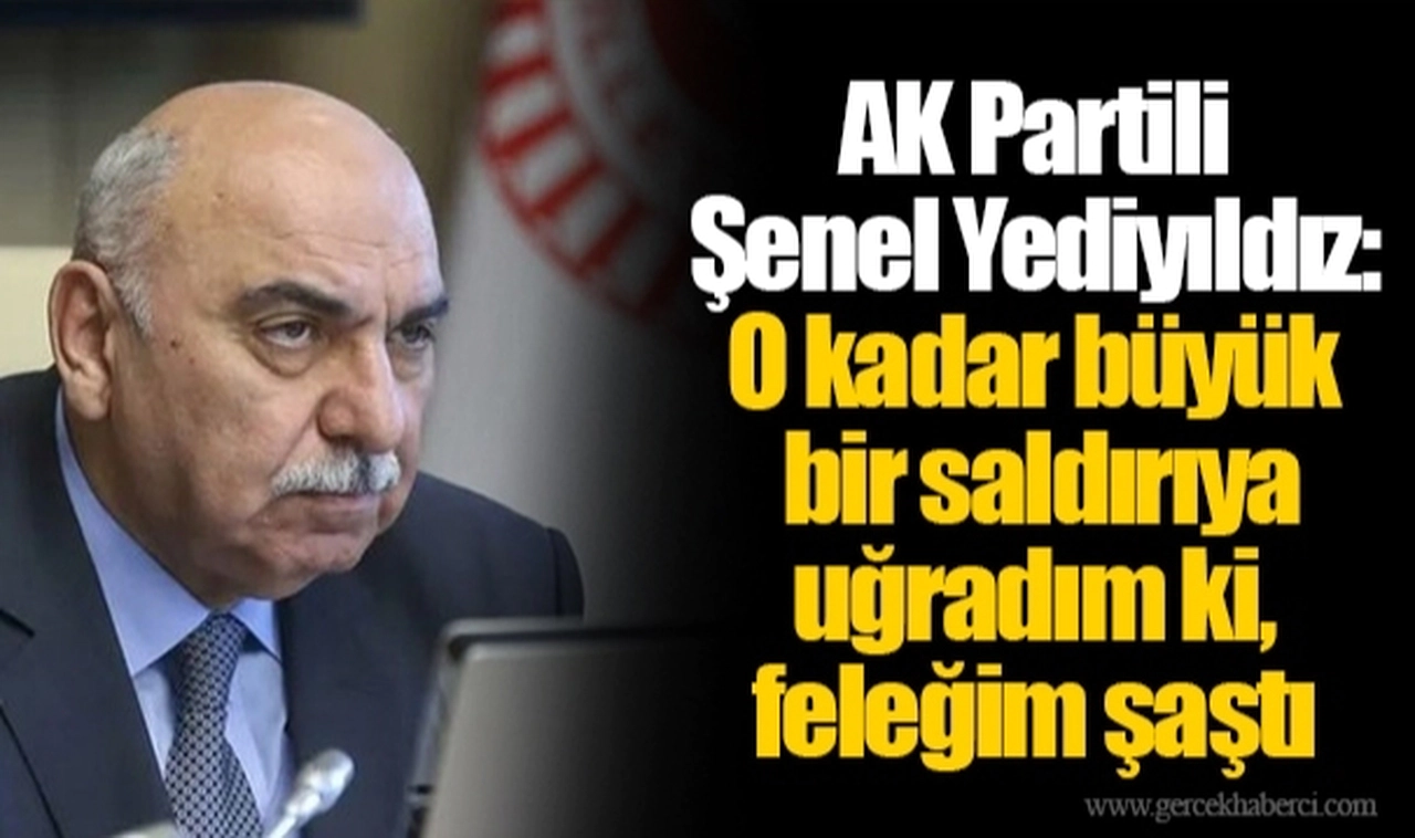 AK Partili Şenel Yediyıldız: O kadar büyük bir saldırıya uğradım ki, feleğim şaştı