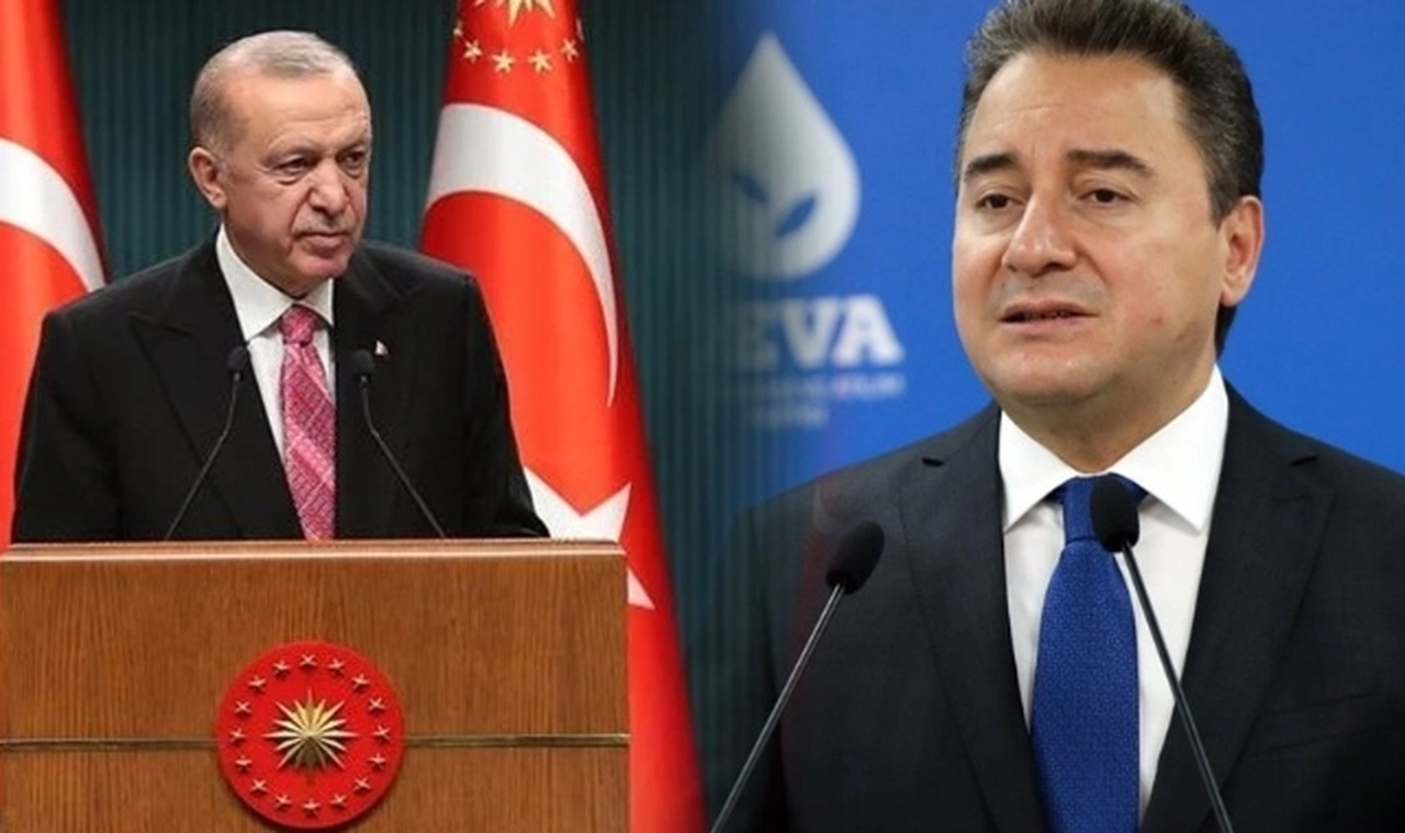 Babacan, Erdoğan'a "Özür dilemelisiniz" diye seslendi: Milyonları yoksulluğa hapsettiniz, Perinçek ve Bahçeli'ye mahkûm ettiniz!