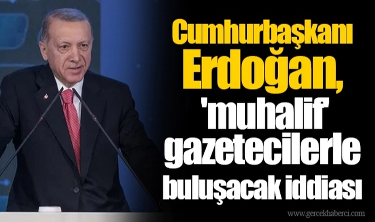 Cumhurbaşkanı Erdoğan, 'muhalif' gazetecilerle buluşacak iddiası