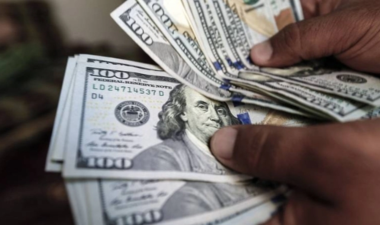 Dolar/TL, 18,78 seviyesine çıkarak rekor kırdı