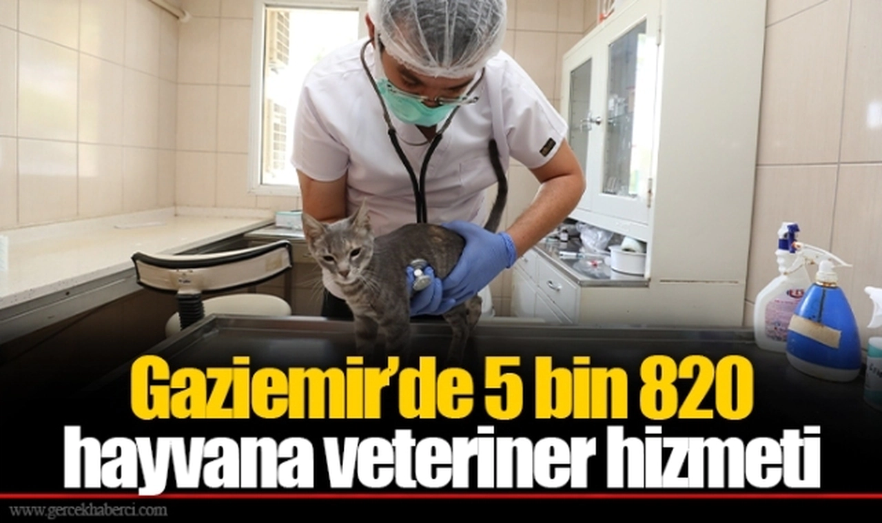 Gaziemir’de 5 bin 820 hayvana veteriner hizmeti