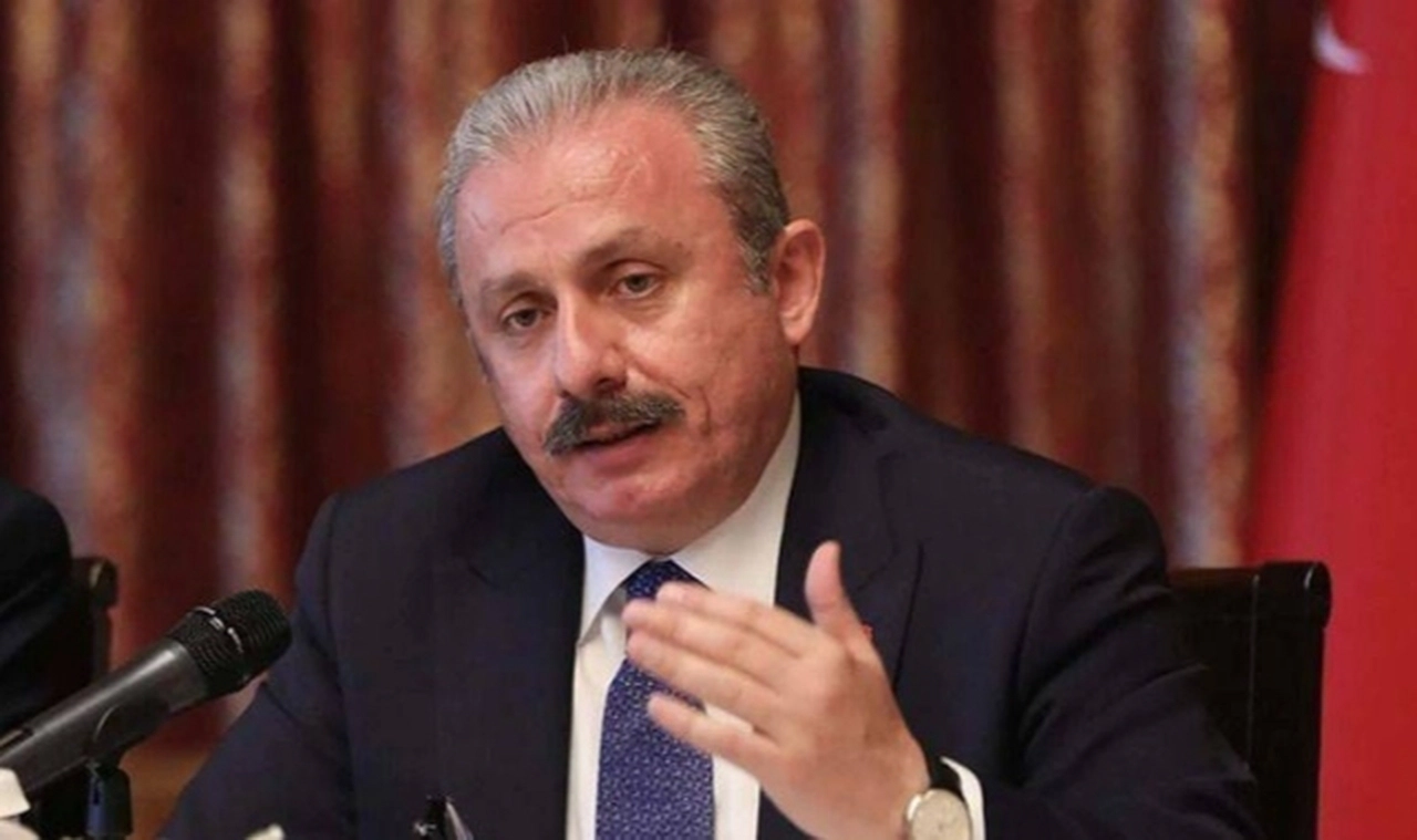 TBMM Başkanı Şentop: Bu bir nezaket ziyaretiydi, olup olmaması süreci doğrudan etkileyen bir husus değil