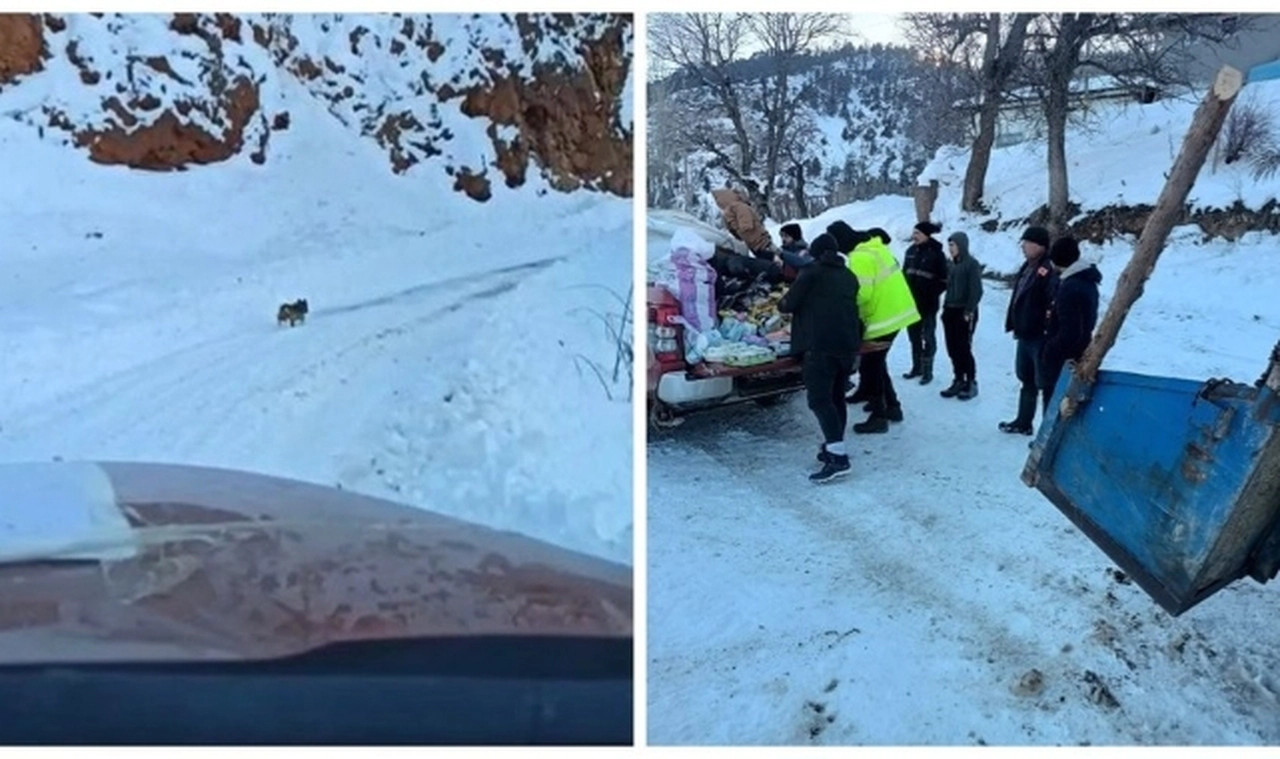 Yolu kaybeden ekipler, önlerine çıkan köpeği takip ederek köye ulaştı