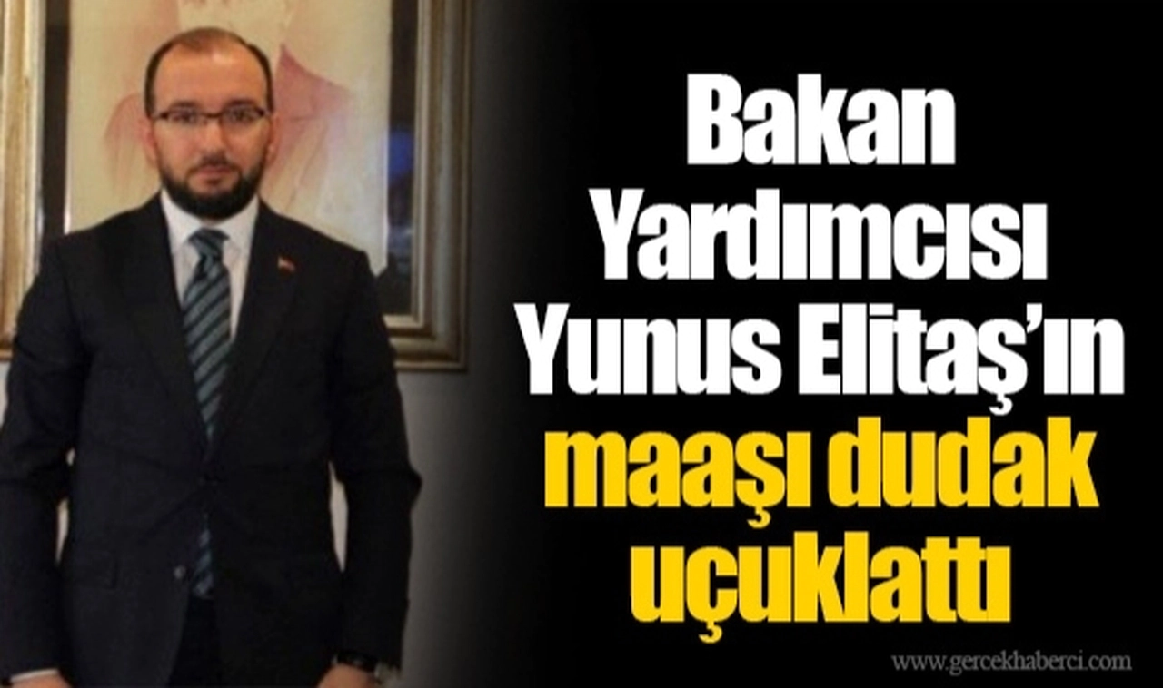 Bakan Yardımcısı Yunus Elitaş’ın maaşı dudak uçuklattı