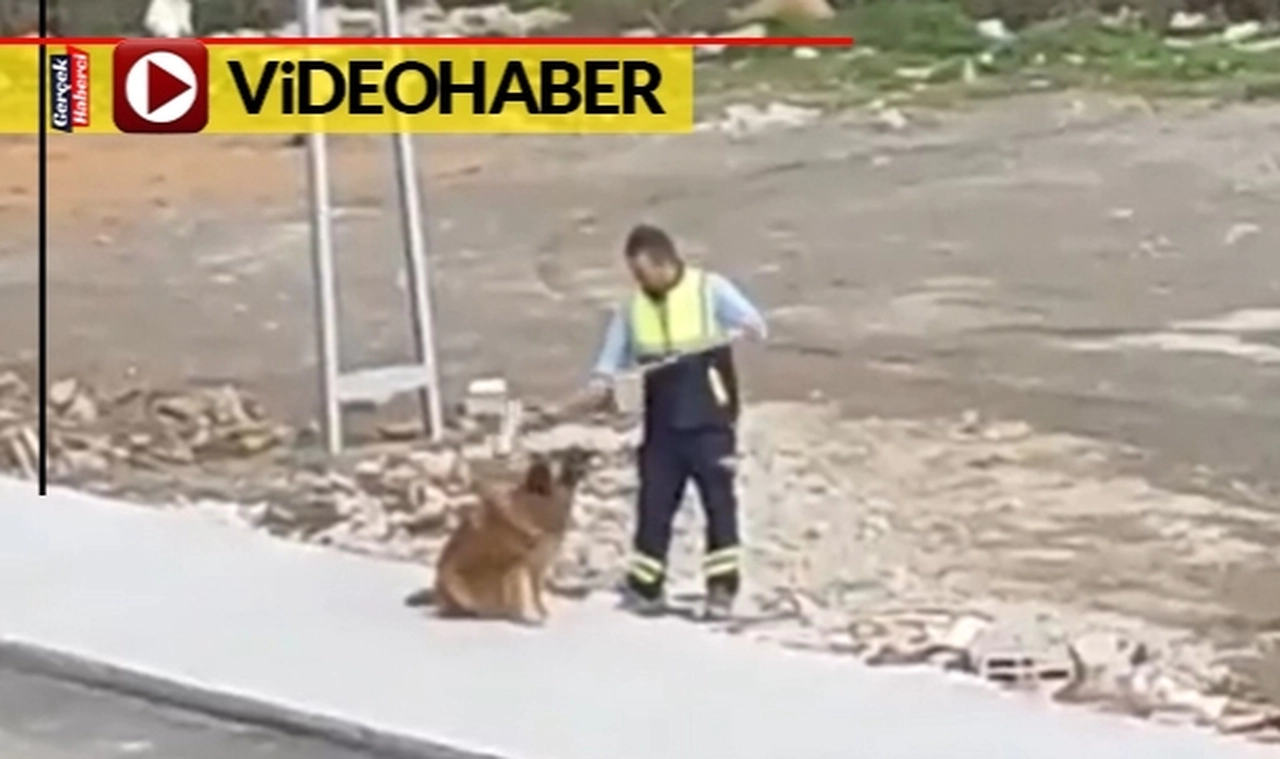 Belediye personeli ve sokak köpeğinin dostluğu yürekleri ısıttı