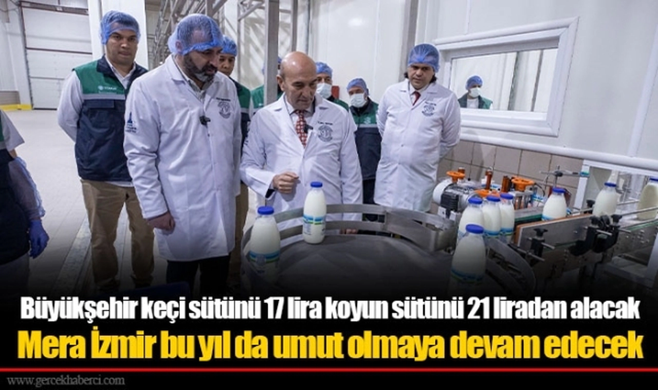 Büyükşehir keçi sütünü 17 lira koyun sütünü 21 liradan alacak