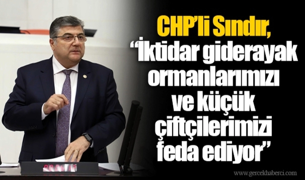 CHP’li Sındır, “İktidar giderayak ormanlarımızı ve küçük çiftçilerimizi feda ediyor”