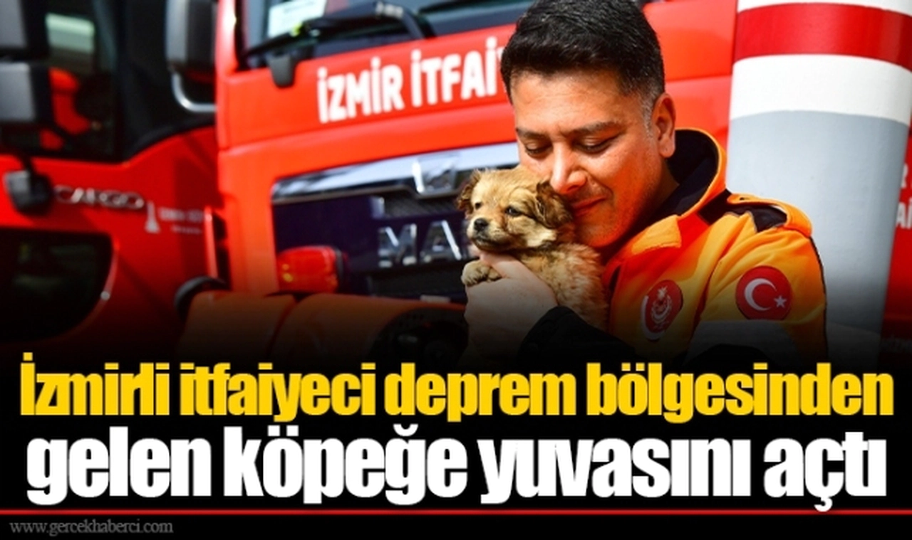 İzmirli itfaiyeci deprem bölgesinden gelen köpeğe yuvasını açtı