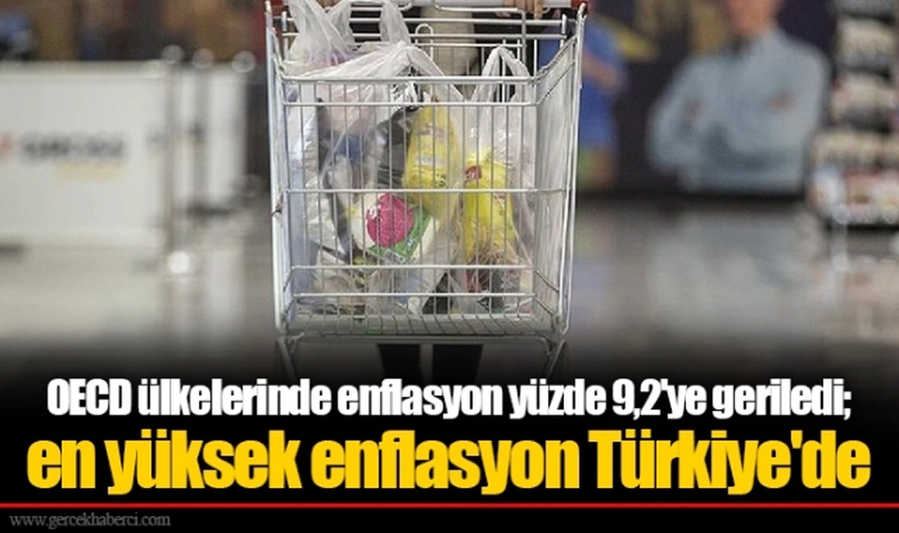 OECD ülkelerinde enflasyon yüzde 9,2'ye geriledi; en yüksek enflasyon Türkiye'de