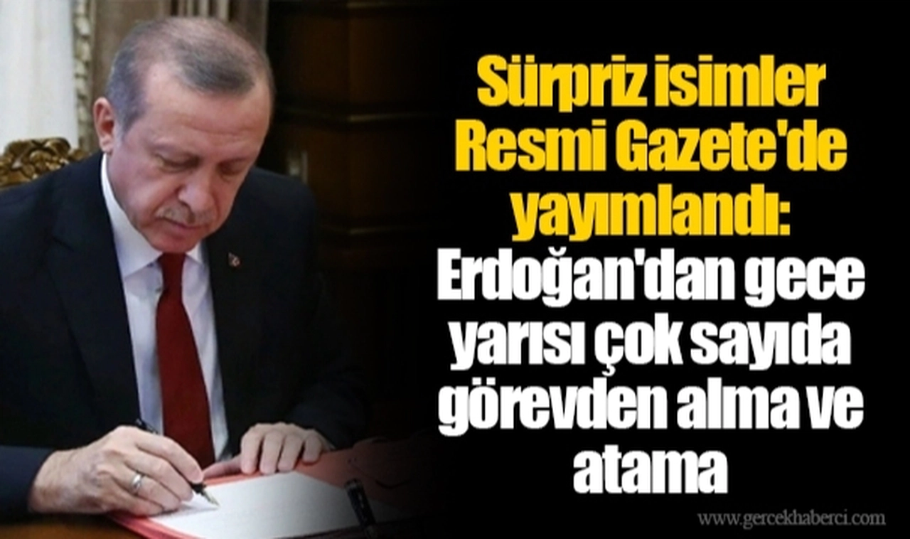 Sürpriz isimler Resmi Gazete'de yayımlandı: Erdoğan'dan gece yarısı çok sayıda görevden alma ve atama
