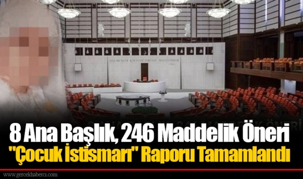 8 Ana Başlık, 246 Maddelik Öneri "Çocuk İstismarı" Raporu Tamamlandı