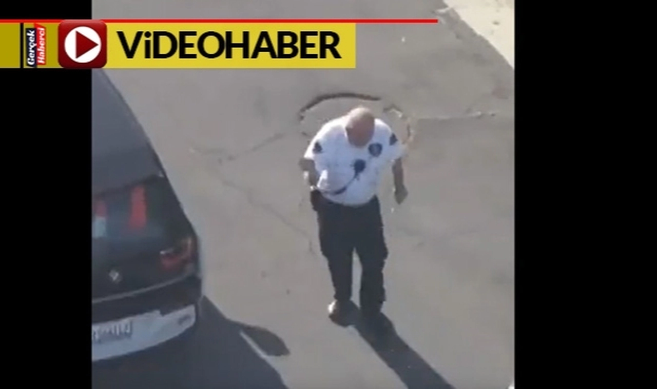 Gönüllü polis arılar yüzünden hastanelik oldu: 100 kez sokuldu