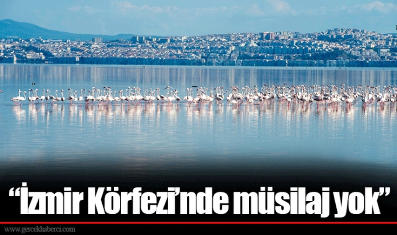“İzmir Körfezi’nde müsilaj yok”
