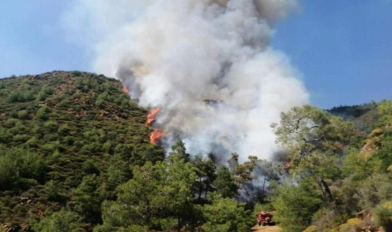 Cesedi ortadan kaldırırken ormanı yakmışlardı; Marmaris'teki cinayetin detayları ortaya çıktı