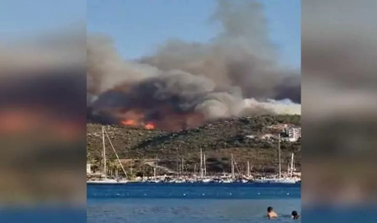 Datça'da orman yangını