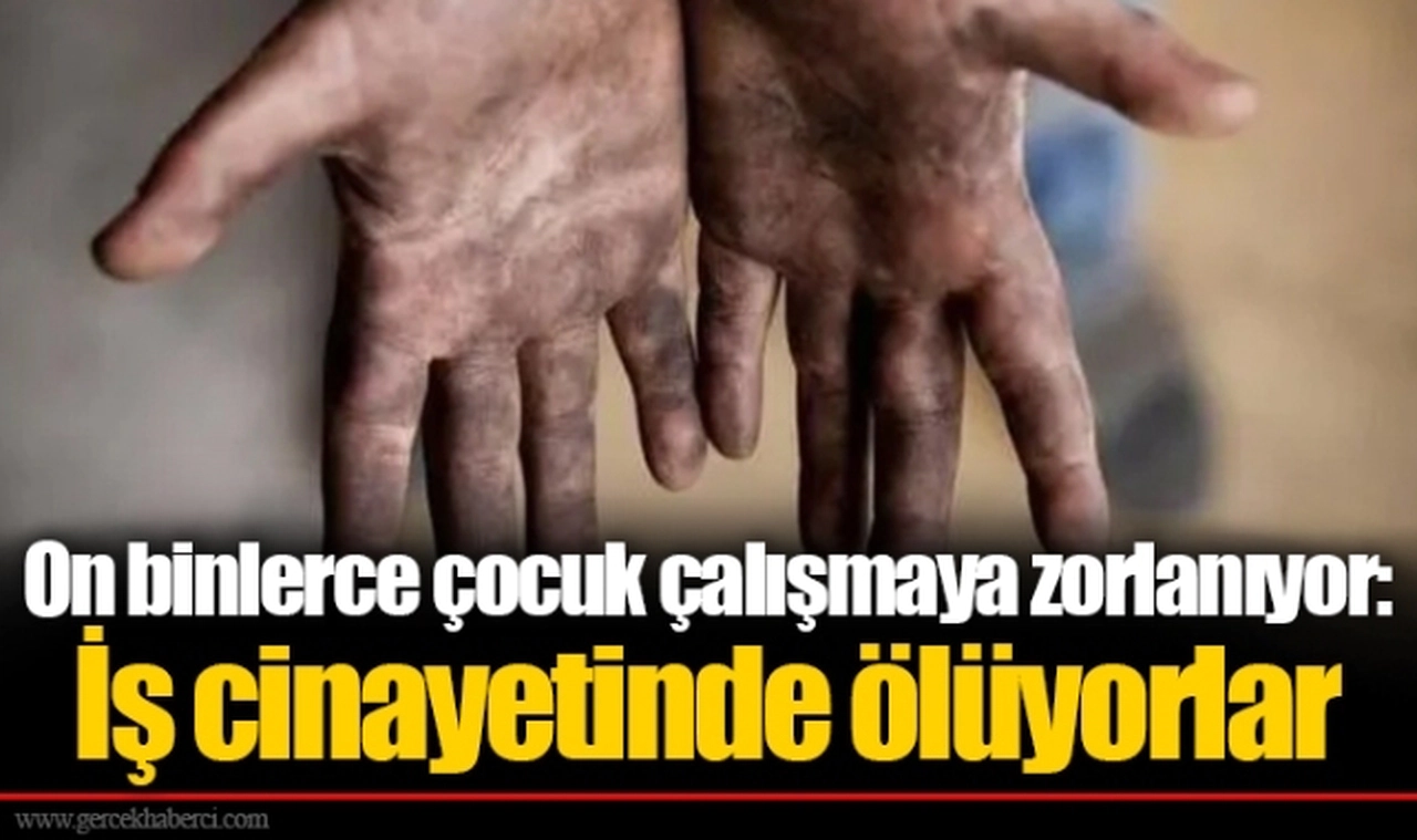 On binlerce çocuk çalışmaya zorlanıyor: İş cinayetinde ölüyorlar