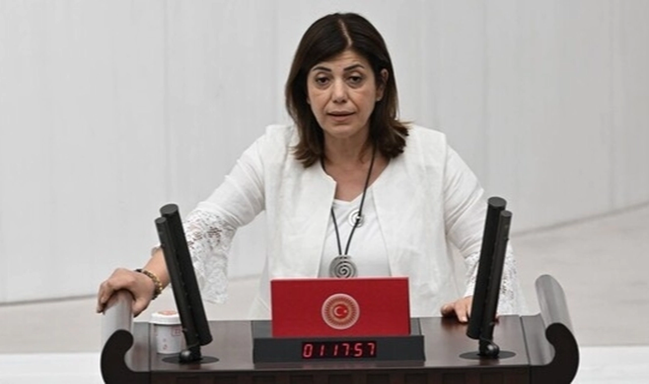 Yeşil Sol Parti'den Meral Danış Beştaş: Yerel seçimde İstanbul, Ankara ve İzmir'de aday çıkarabiliriz